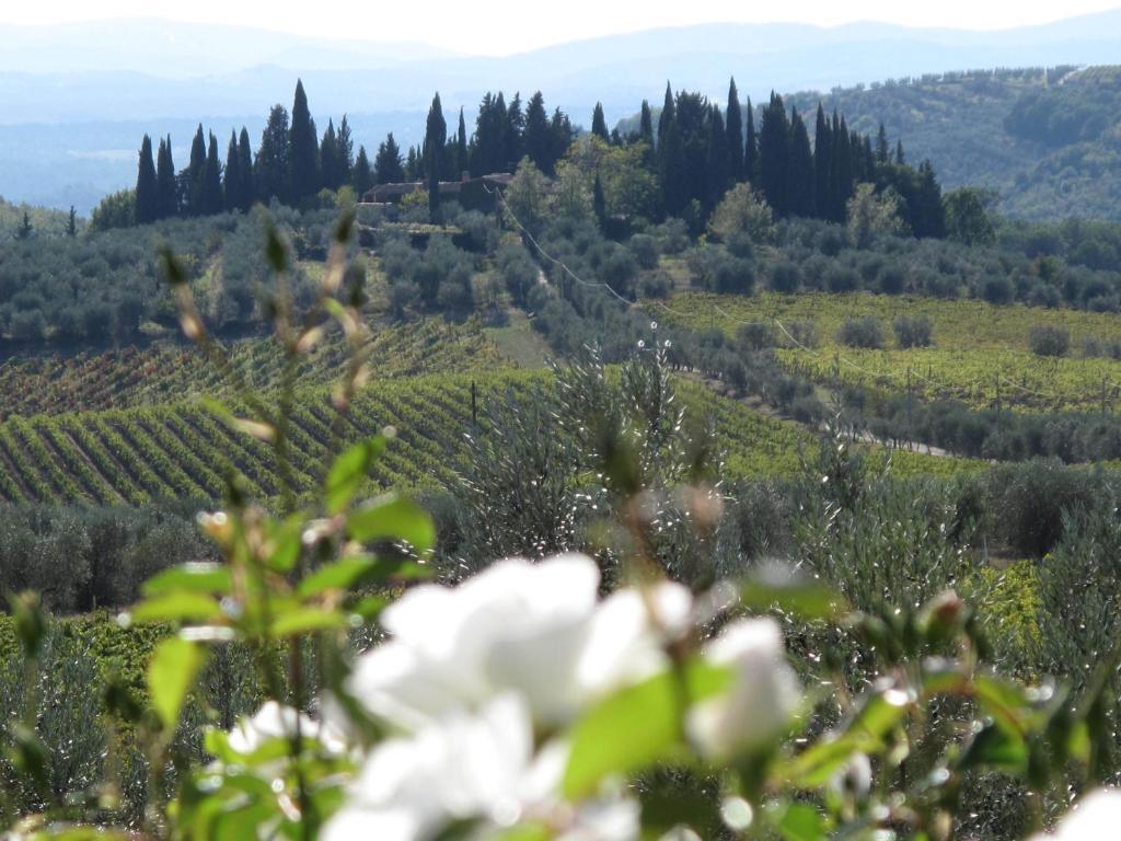 Gasthaus Fattoria Casa Sola Barberino di Val dʼElsa Zimmer foto