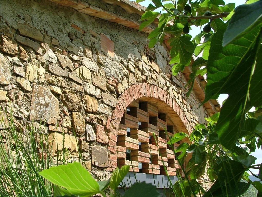 Gasthaus Fattoria Casa Sola Barberino di Val dʼElsa Zimmer foto